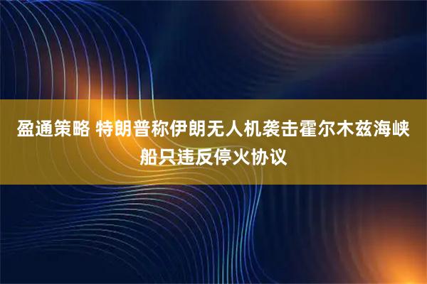 盈通策略 特朗普称伊朗无人机袭击霍尔木兹海峡船只违反停火协议