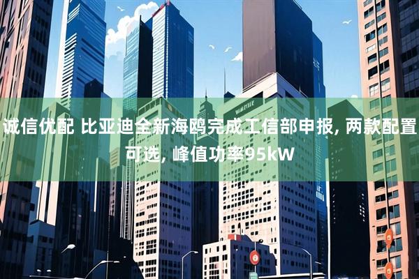 诚信优配 比亚迪全新海鸥完成工信部申报, 两款配置可选, 峰值功率95kW